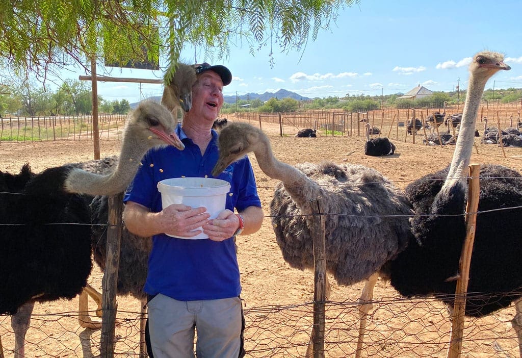 Dirt roads 2 Feeding the Ostriches.
