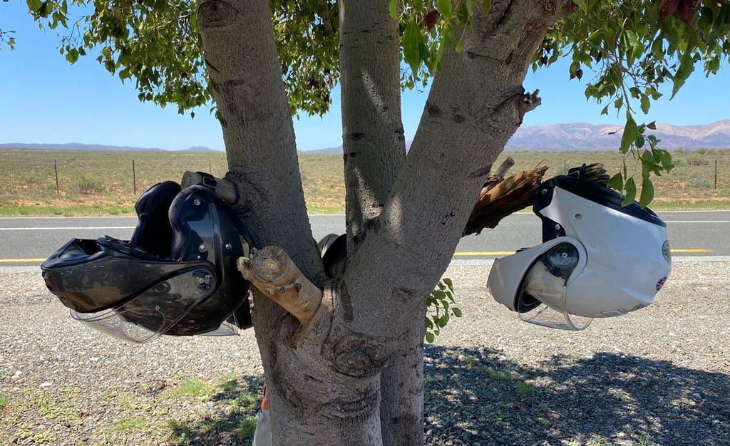 Two helmets hand from tree branches.