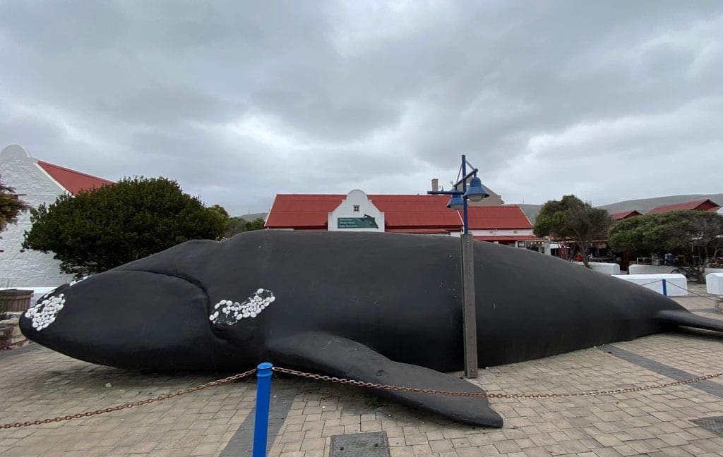 Riding day 4 A large whale sculpture.