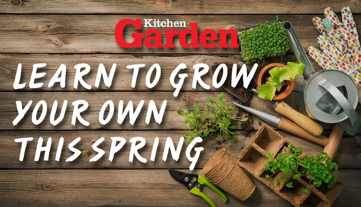 Gardening tools, seeds and soil on wooden table. Spring in the garden